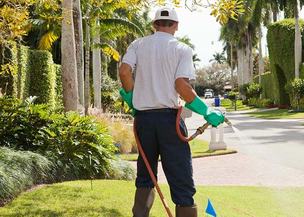 About Miller Place NY Pest Control Pros